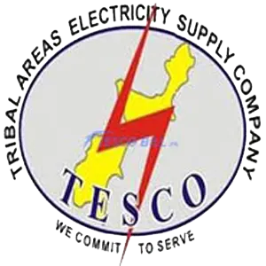 Tribal Areas Electricity Supply Company